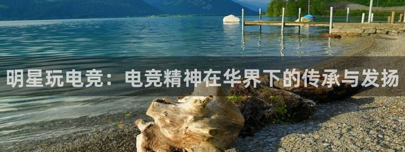 完美电竞平台排行榜：明星玩电竞：电竞精神在华界下的传承与发扬