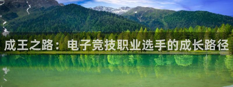完美电竞注册：成王之路：电子竞技职业选手的成长路径