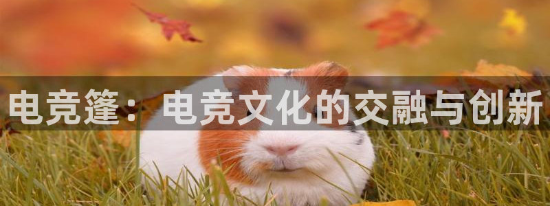 完美电竞查询：电竞篷：电竞文化的交融与创新