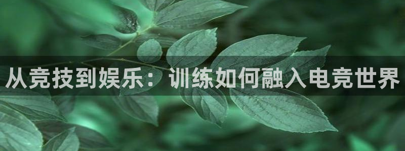 csgo完美电竞平台：从竞技到娱乐：训练如何融入电竞世界