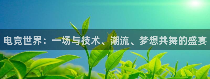 cs完美电竞平台：电竞世界：一场与技术、潮流、梦想共舞的盛宴