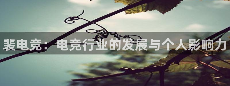 完美电竞大会员：裴电竞：电竞行业的发展与个人影响力